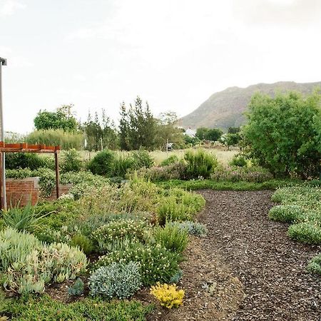 Vineyard Views Country House Riebeek-Kasteel Exterior photo