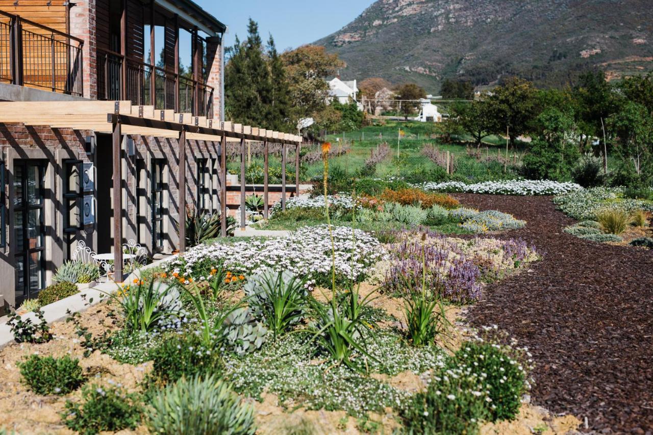 Vineyard Views Country House Riebeek-Kasteel Exterior photo