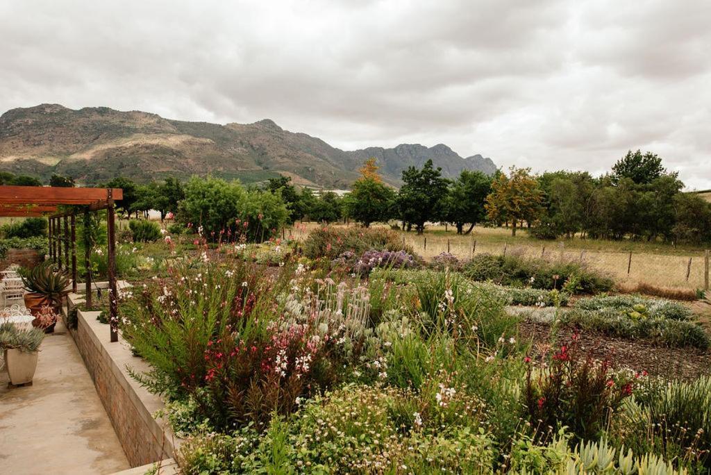 Vineyard Views Country House Riebeek-Kasteel Exterior photo