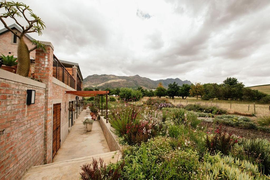 Vineyard Views Country House Riebeek-Kasteel Exterior photo