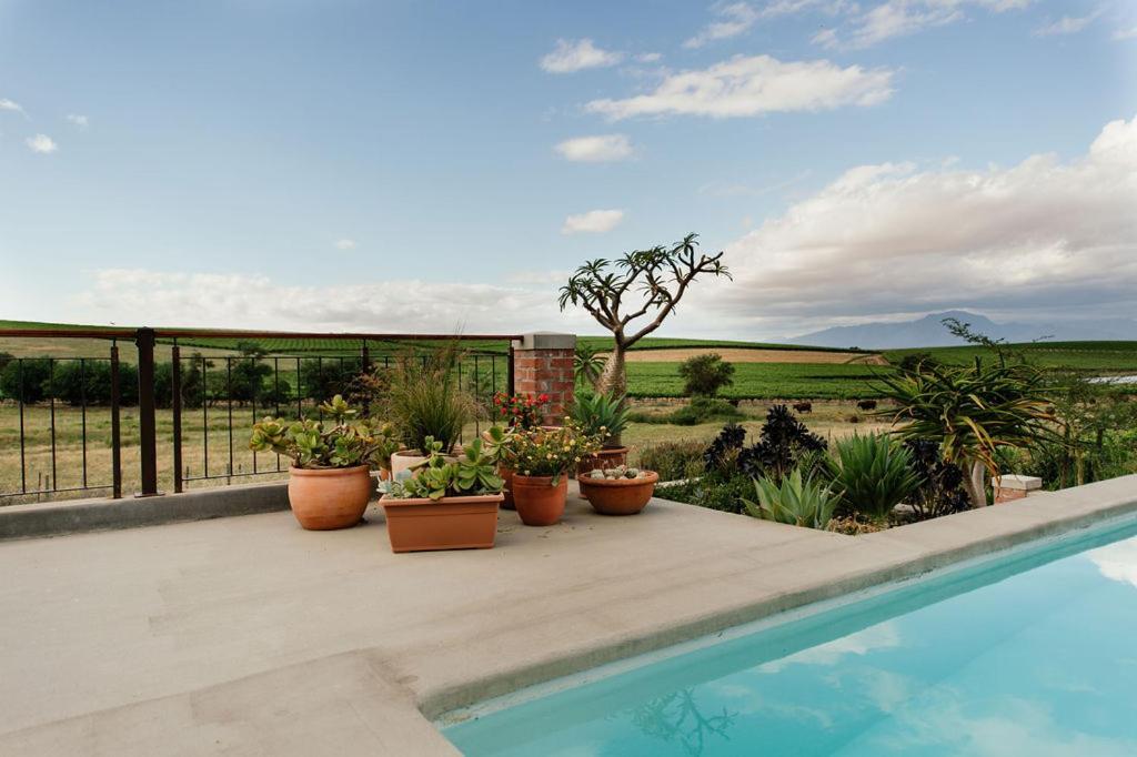 Vineyard Views Country House Riebeek-Kasteel Exterior photo